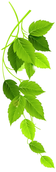 Massage in Sultanpur New Delhi