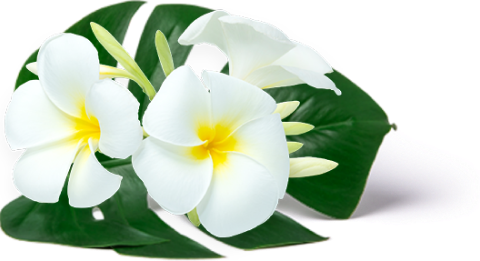 Massage in Sultanpur New Delhi
