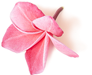 Massage in Sultanpur New Delhi