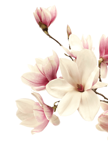 Massage in Sultanpur New Delhi