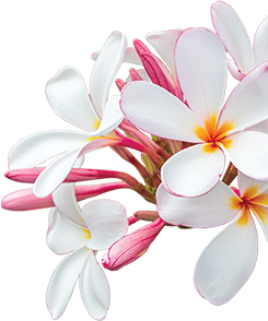 Massage in Sultanpur New Delhi